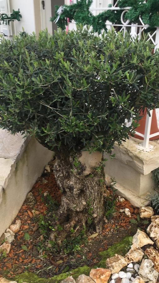 Il Casale Di Gio Bed & Breakfast Naples Exterior photo